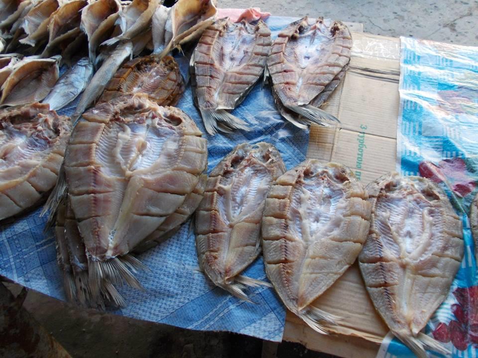 yamy - 5802454429180824817351998638285n.jpg